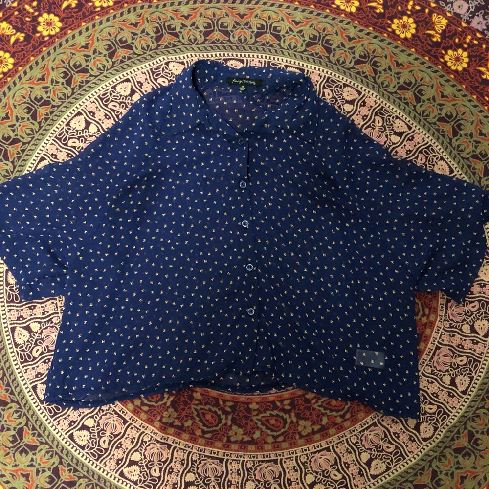 Blue sheer button down blouse